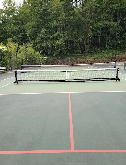 Lakemont Community Park Pickleball And Tennis Courts