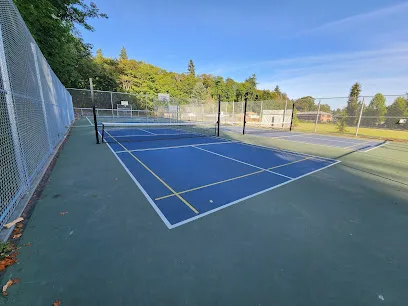 Lakeridge Playfield Pickleball and Badminton Courts