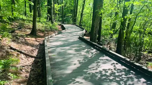 Livingston Park photo 2