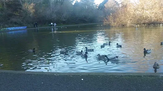 Louis Sutter Playground Park photo 3
