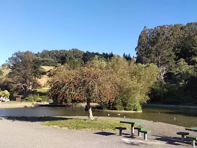 Louis Sutter Playground Park photo 5