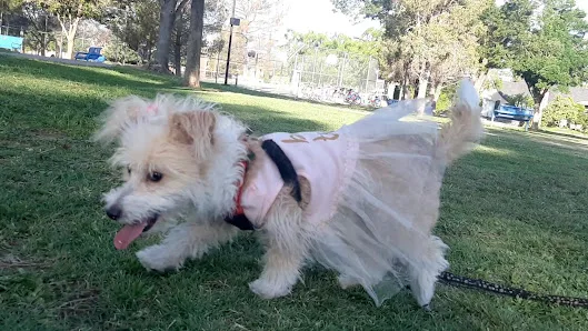 Madeline Park photo 2