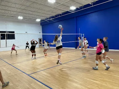 Madison Ignite Volleyball and Pickleball Club photo 2