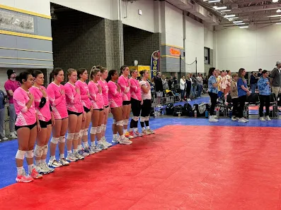 Madison Ignite Volleyball and Pickleball Club photo 3