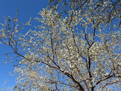 Mamie D Eisenhower Park photo 2