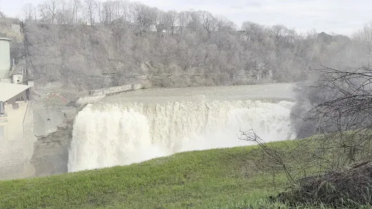 Maplewood Park photo 2