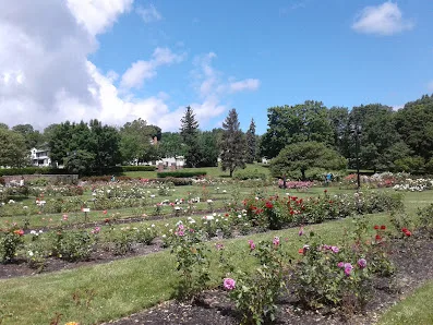 Maplewood Park photo 4