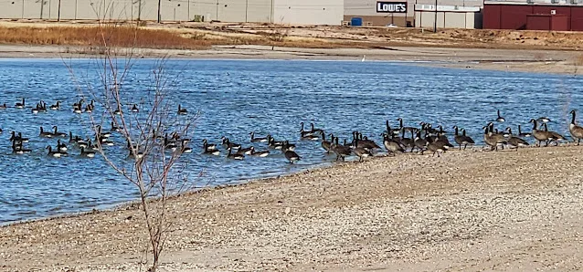 McAlister Park photo 3