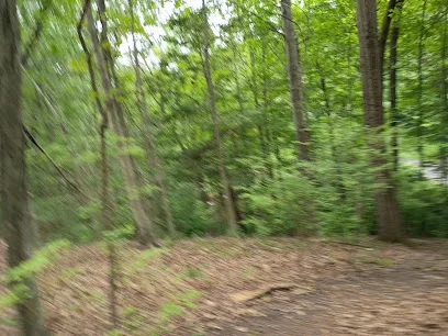 Mittineague park Pickleball courts