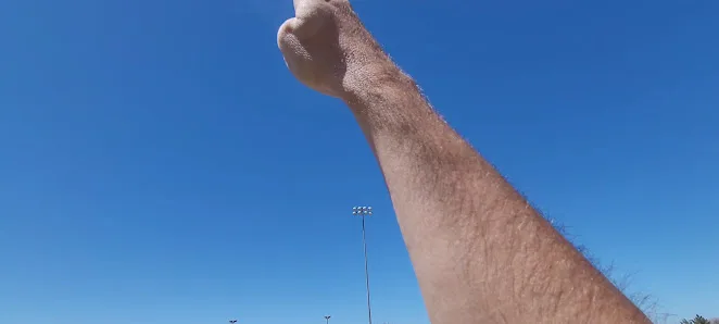 Morris K. Udall Park photo 2