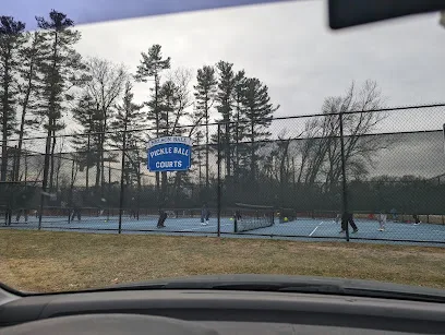 Nelson Ball Pickleball Courts