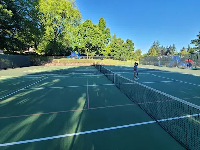Norwood Village Park Pickleball and Tennis Courts photo 2
