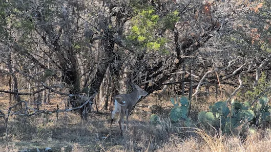 Oak Haven Park photo 2