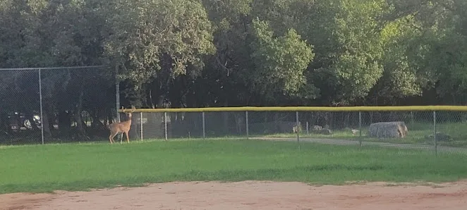 Oak Haven Park photo 3