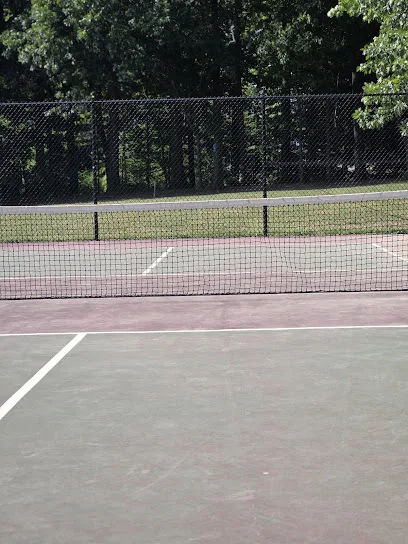 Old Farm Park-pickleball court