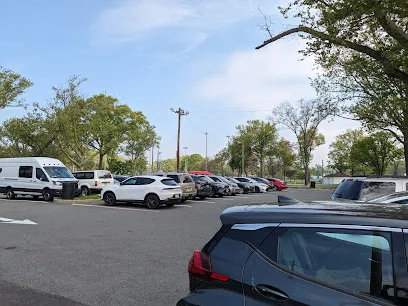 Parking lot Pickleball