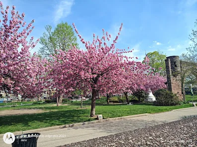 Pershing Field Park photo 2