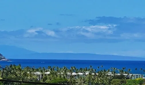 Petrie Community Park photo 4