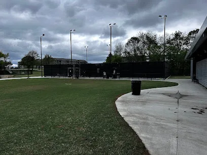 Pickleball Court