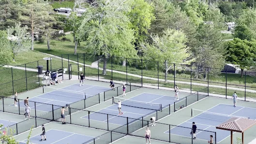 Pickleball Courts at 11th Avenue Park photo 2