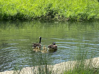Pickleball Courts | Montclair Park