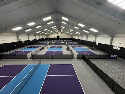Pickleball Euphoria Springhurst