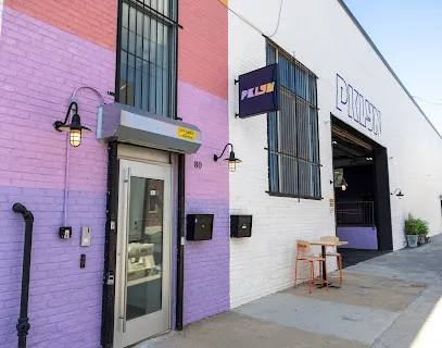 PKLYN Pickleball Club