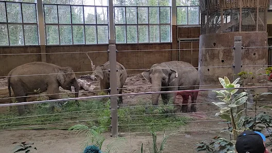 Portland Heights Park photo 2