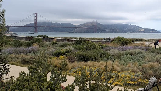 Presidio Wall Playground Park photo 3