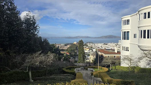 Presidio Wall Playground Park photo 4