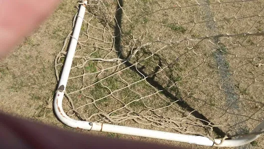 Proehlific Park photo 2