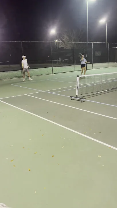 Public pickleball court