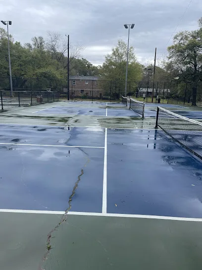 Public Pickleball Courts Stott’s Park