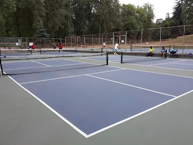 Raleigh Park Pickleball & Tennis Courts photo 2
