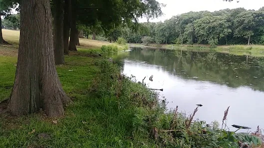 Randol Mill Park photo 3