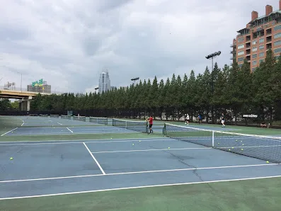 Sawyer Point Pickleball & Tennis Courts photo 2