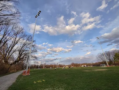 Schenley Oval photo 4