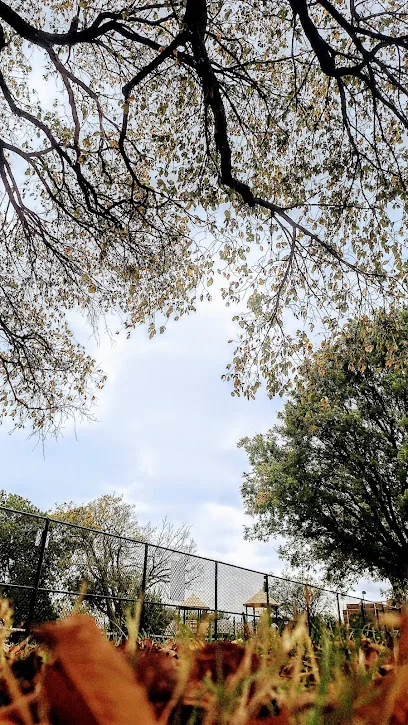 Seneca Park-Pickleball Courts