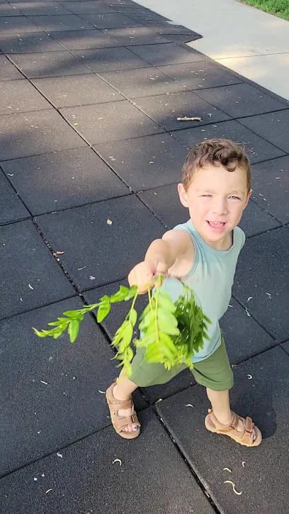 Seng Park at University Place