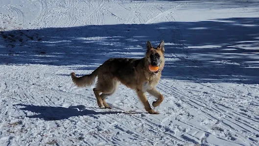 Seven Hills Park photo 2