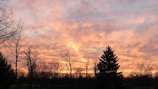 Shillito Park photo 2