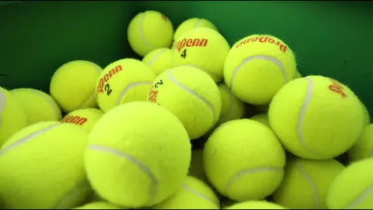 South Towns Tennis & Pickleball — image 6