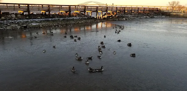 Stephen R. Gregg Park photo 5