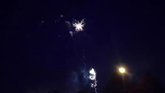 Sycamore Park photo 2