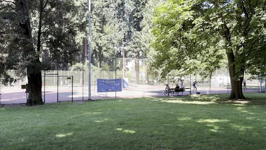 Tennis and Pickleball Courts photo 2