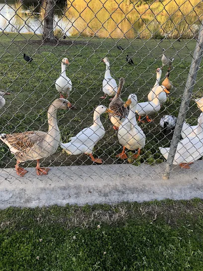 Tennis Court At Campus Park South