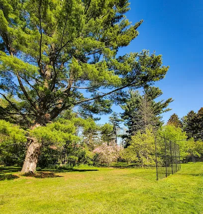 Tennis Courts photo 2