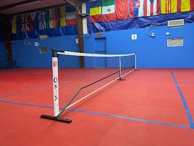 The Pickleball Court at San Antonio Table Tennis Club photo 2