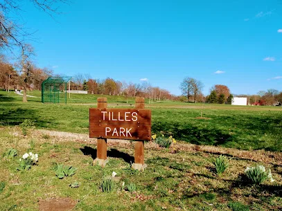 Tilles Park