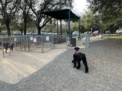 Tom Brown Park photo 3